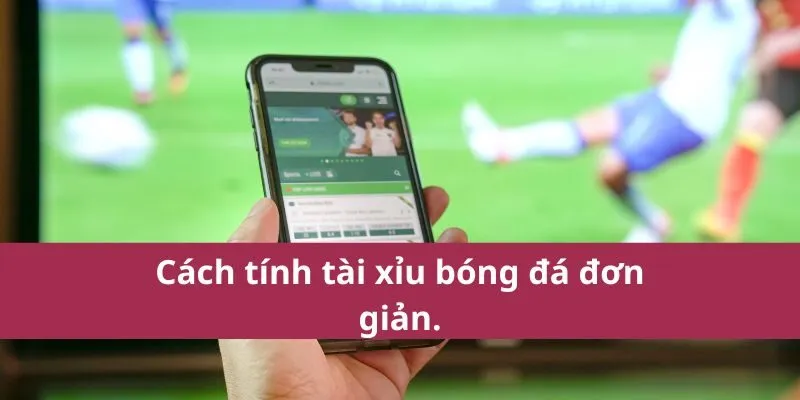 tài xỉu bóng đá