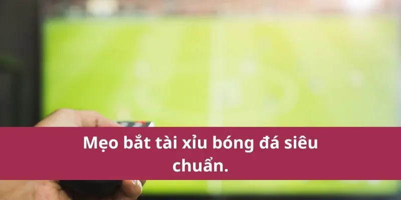 tài xỉu bóng đá